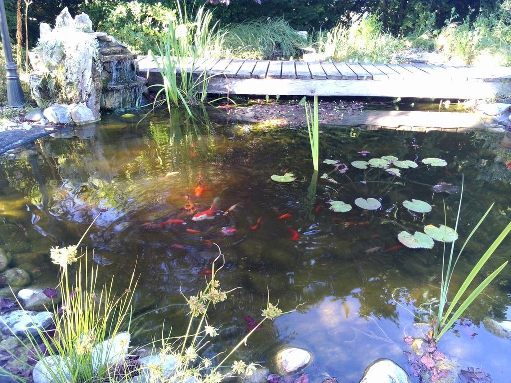 Bed and Breakfast Le Bassin Du Tertre Fronsac  Exteriér fotografie
